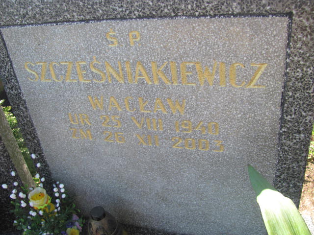 Wacław Szcześniakiewicz 1940 Pruszków - Grobonet - Wyszukiwarka osób pochowanych
